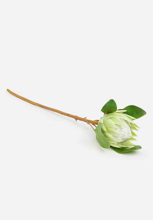 Silk By Design - Protea single stem - cream