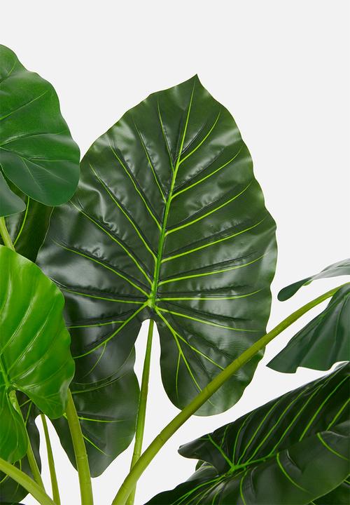H&S - Plant- green3