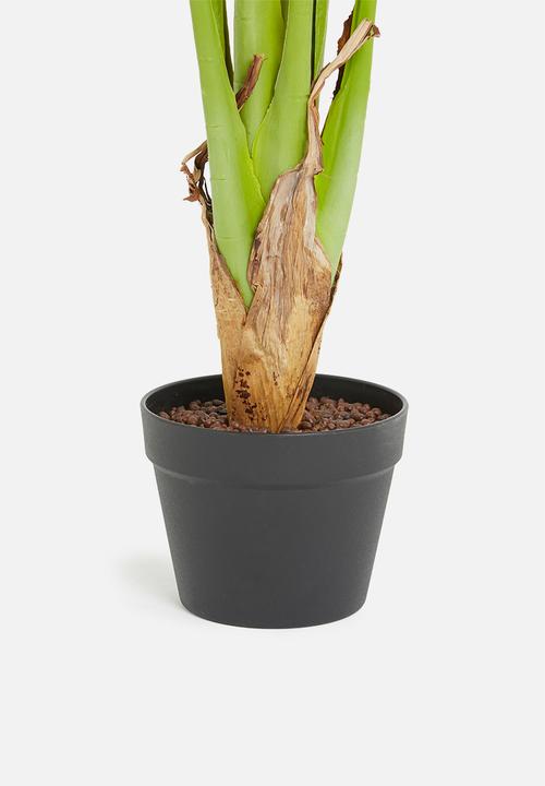 H&S - Plant- green3
