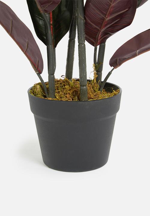 Sixth Floor - Rubber tree artificial plant - 90cm h