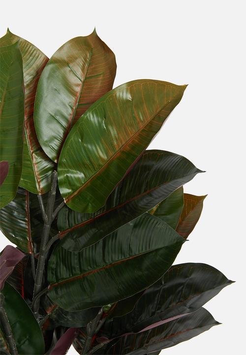 Sixth Floor - Rubber tree artificial plant - 90cm h