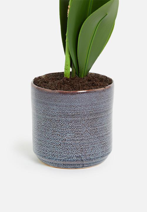 Silk By Design - Phalenopsis artificial orchid in silver planter - green