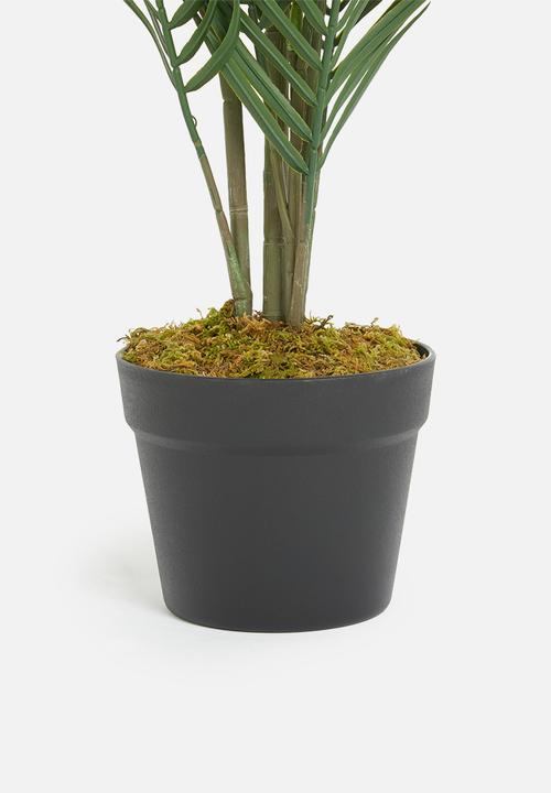 Sixth Floor - Palm tree artificial plant - 95cm h