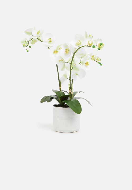 Silk By Design - Phalenopsis artificial orchid in ceramic planter - white