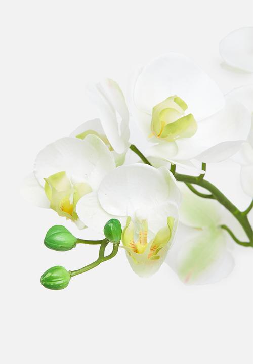 Silk By Design - Phalenopsis artificial orchid in ceramic planter - white