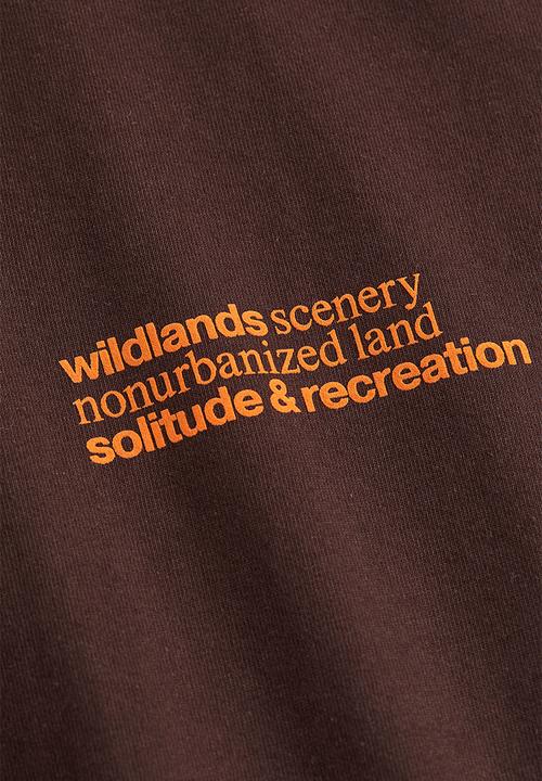 H&M - Relaxed fit cotton T-shirt - dark brown/mountains