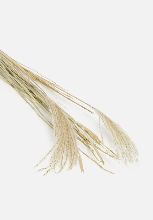 H&S - Pampas - brown