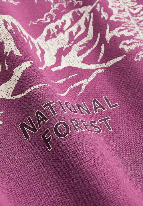 H&M - Sweatshirt - plum/mount rainier