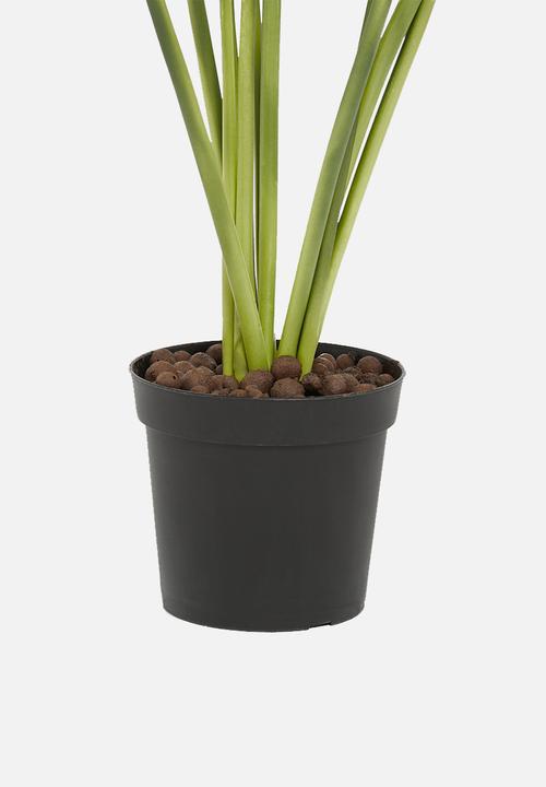 H&S - Plant - green