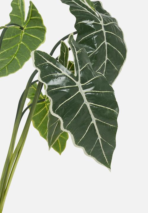 H&S - Plant - green