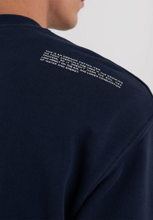 Replay - Organic cotton sweatshirt with print - blue