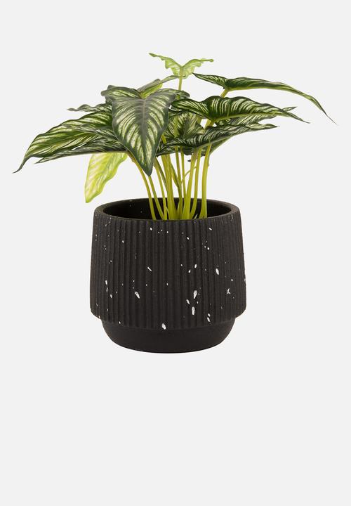 Present Time - Plant pot Speckles Cone cement black