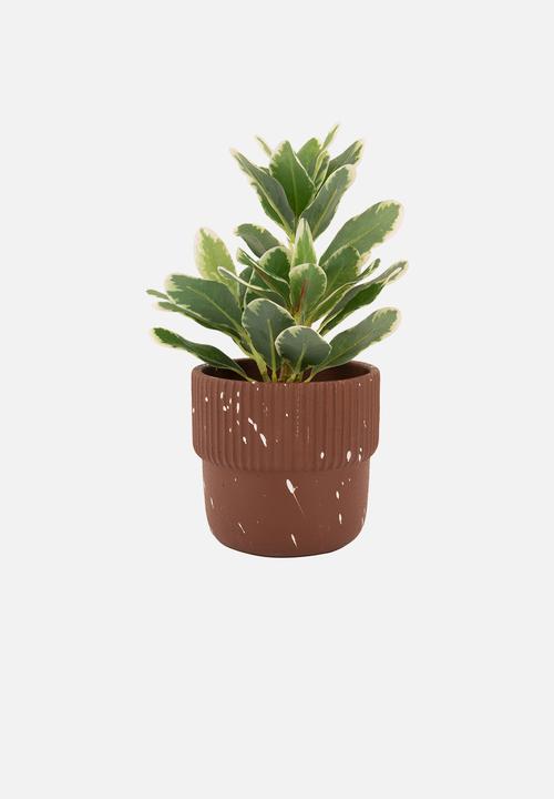 Present Time - Plant Pot Speckles Cap Cement