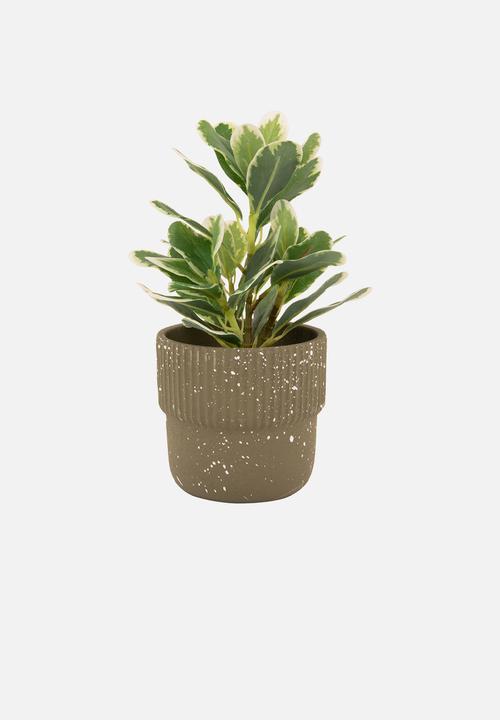 Present Time - Plant pot speckles cap - cement green