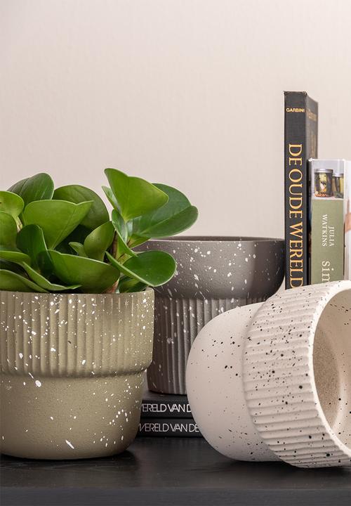 Present Time - Plant pot speckles cap - cement green