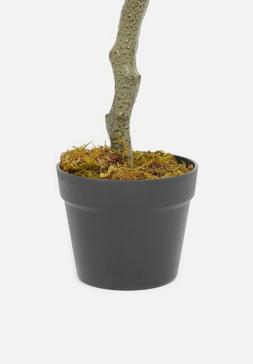 Sixth Floor - Faux olive tree 125cm H - black plastic pot