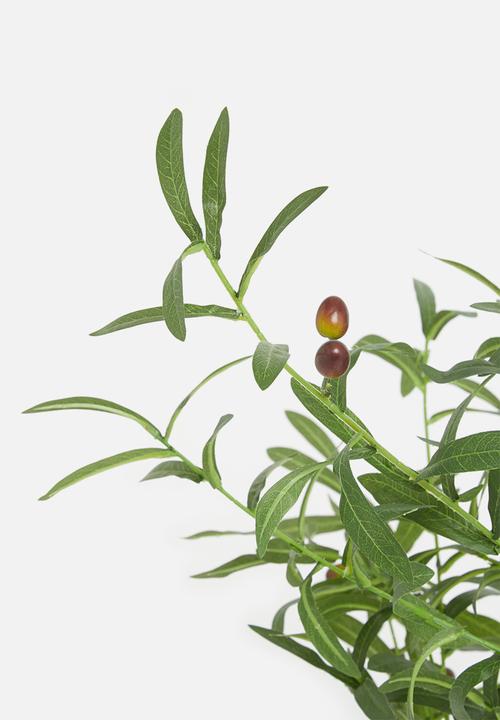 Sixth Floor - Faux olive tree 125cm H - black plastic pot
