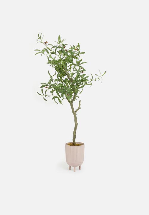Sixth Floor - Faux olive tree 125cm H - black plastic pot