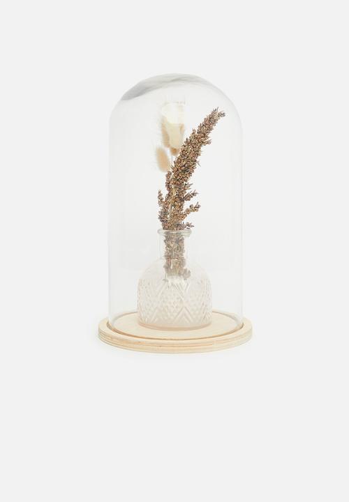 H&S - Dome glass with wood base - clear
