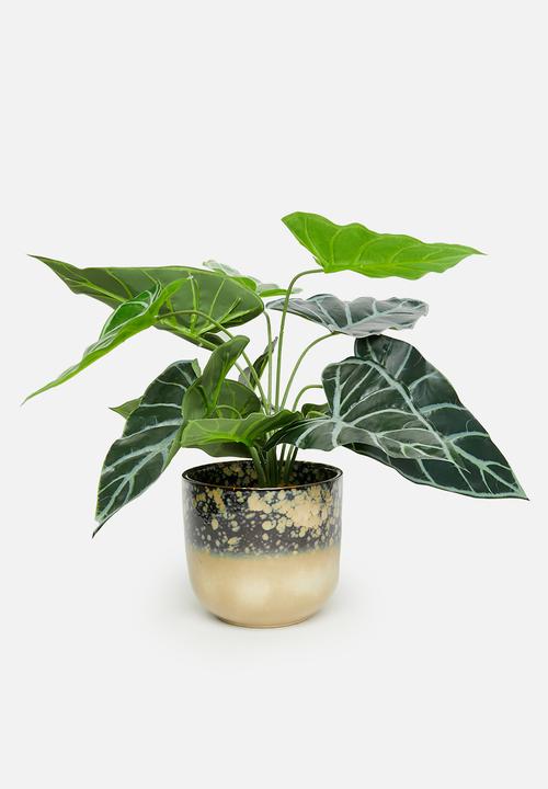 H&S - Rooted porcelain flowerpot - black