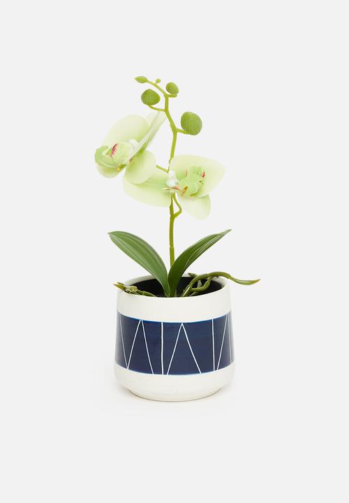 H&S - Artificial orchid in black pot - light green