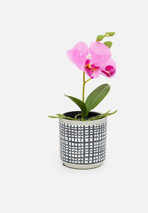 H&S - Artificial orchid in black pot - pink