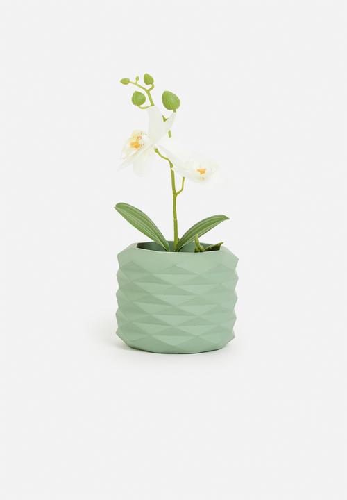 H&S - Artificial orchid in black pot - ivory