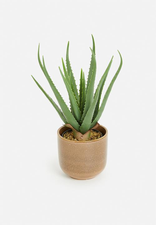H&S - Rooted porcelain flowerpot - brown