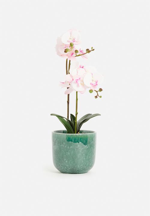 H&S - Rooted porcelain flowerpot - blue