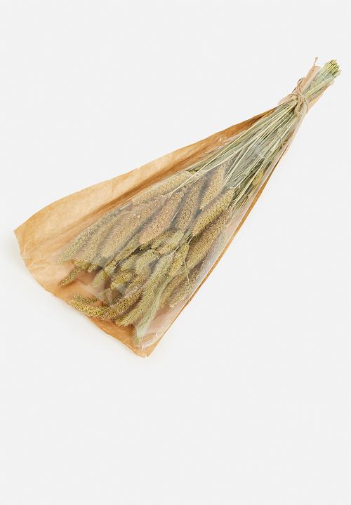 H&S - Dried setaria grass bunch - natural