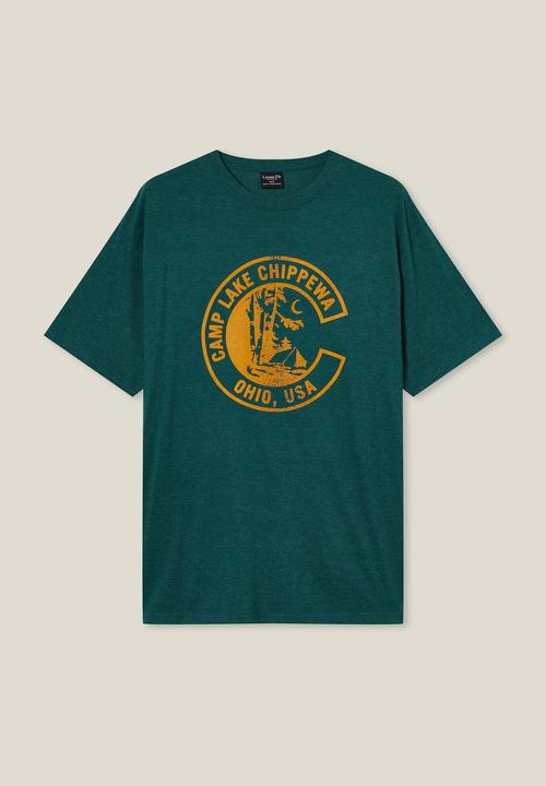 Cotton On - Loose fit souvenir T-shirt - evergreen/chippewa