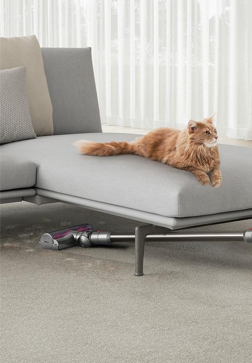dyson - Dyson V8™ Absolute Cordless Vacuum