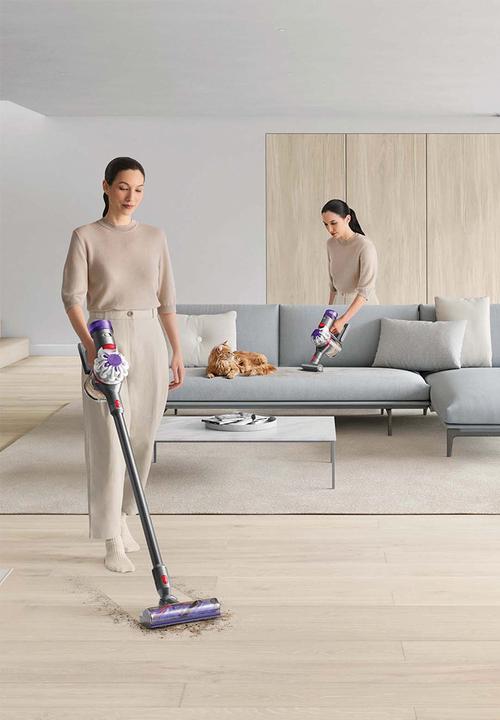 dyson - Dyson V8™ Absolute Cordless Vacuum