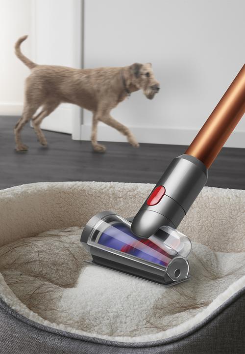 dyson - Dyson V10™ Absolute Cordless Vacuum