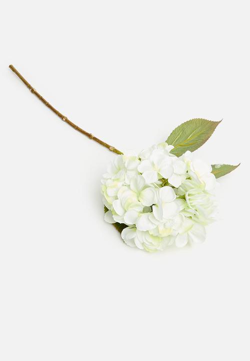 H&S - Hydrangea single stem - green