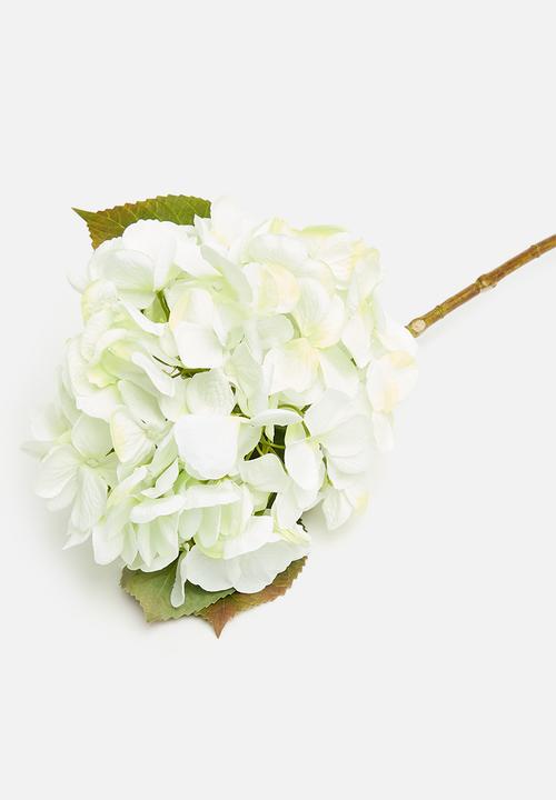 H&S - Hydrangea single stem - green