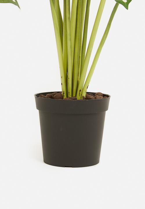 H&S - Alocasia dotted artificial plant - green 