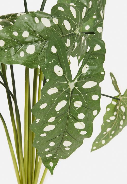 H&S - Alocasia dotted artificial plant - green 