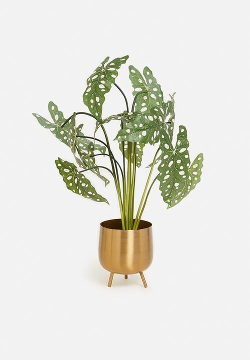 H&S - Alocasia dotted artificial plant - green 