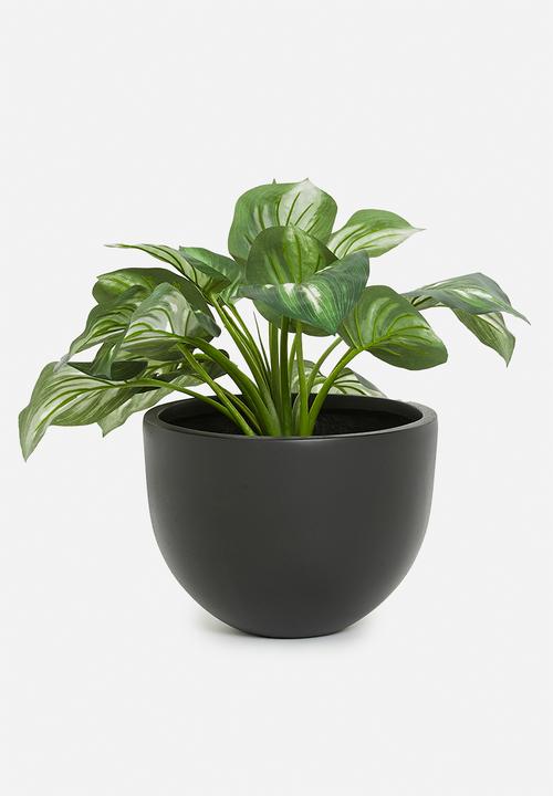 Sixth Floor - Aslan planter - black