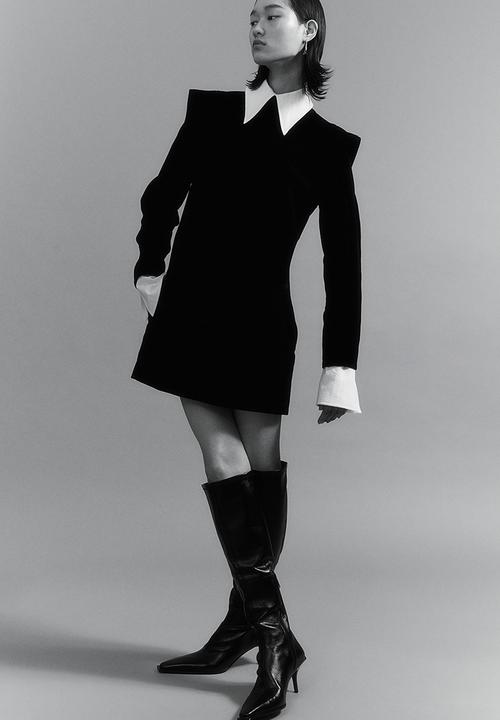 H&M - H&M Studio: Collared velvet dress - midnight black & white