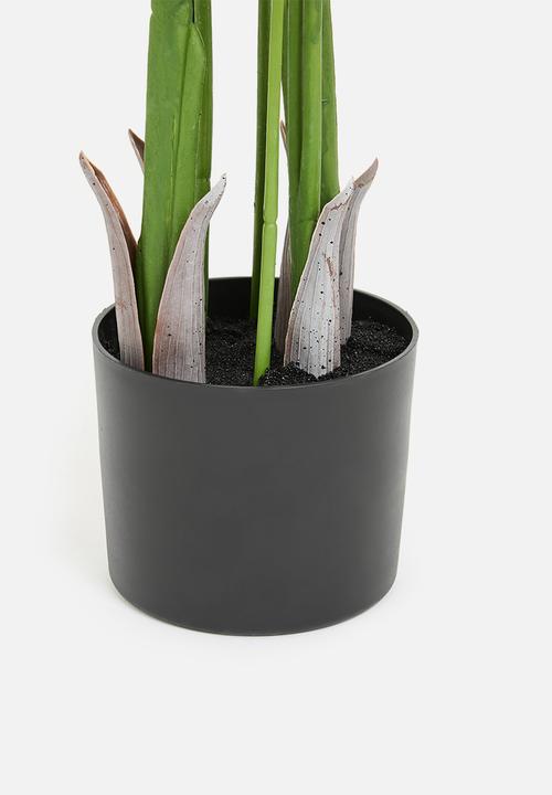 H&S - Artificial bird of paradise - black pot