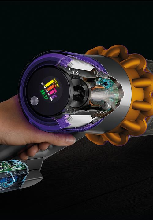 dyson - V15 detect absolute