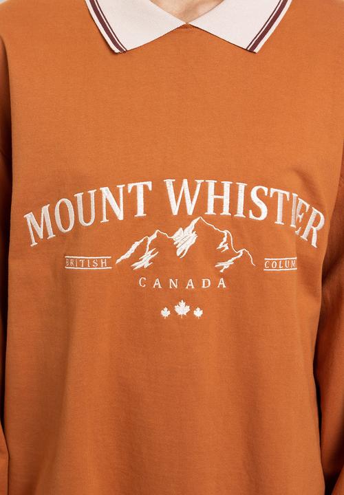 Daisy Street - Collared embroidered sweat - rust