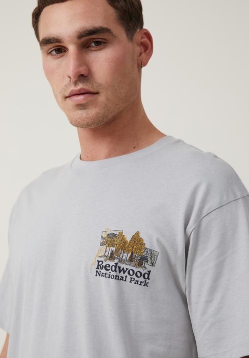 Cotton On - Loose fit art T-shirt - blue haze/redwoods
