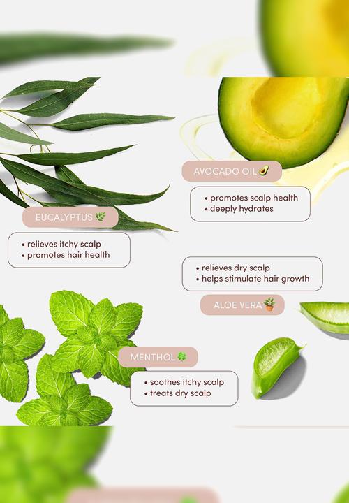 Mizani - Scalp Calming Lotion Leave-In Scalp Moisturizer Treatment - 120ml