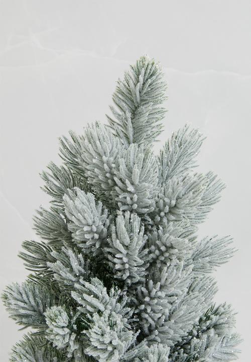 H&S - Pine tree - snowy