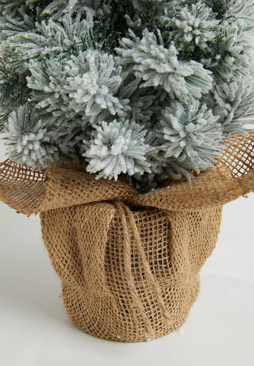 H&S - Pine tree - snowy