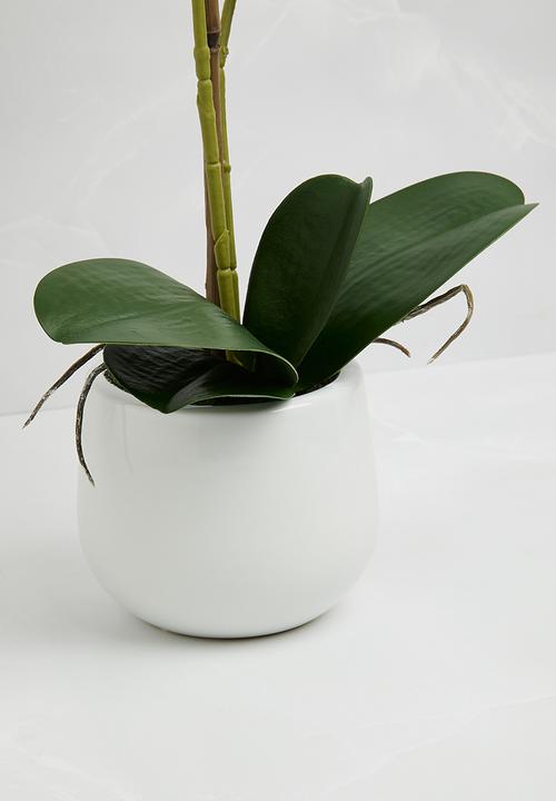 Silk By Design - Phalaenopsis orchid in ceramic pot - white