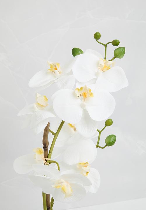 Silk By Design - Phalaenopsis orchid in ceramic pot - white